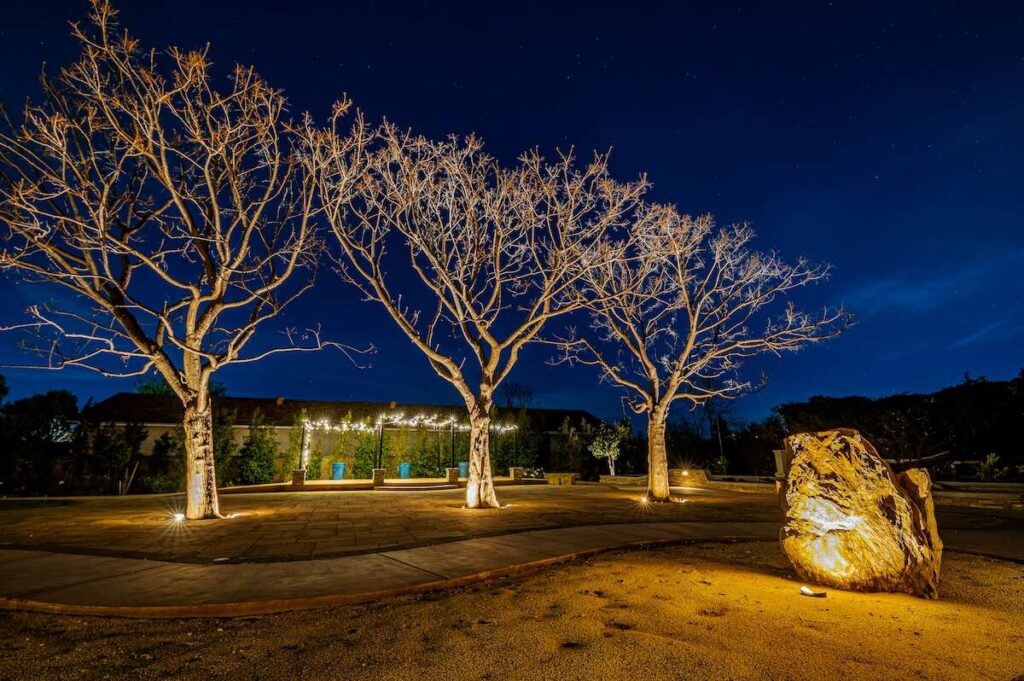 landscapebaretrees