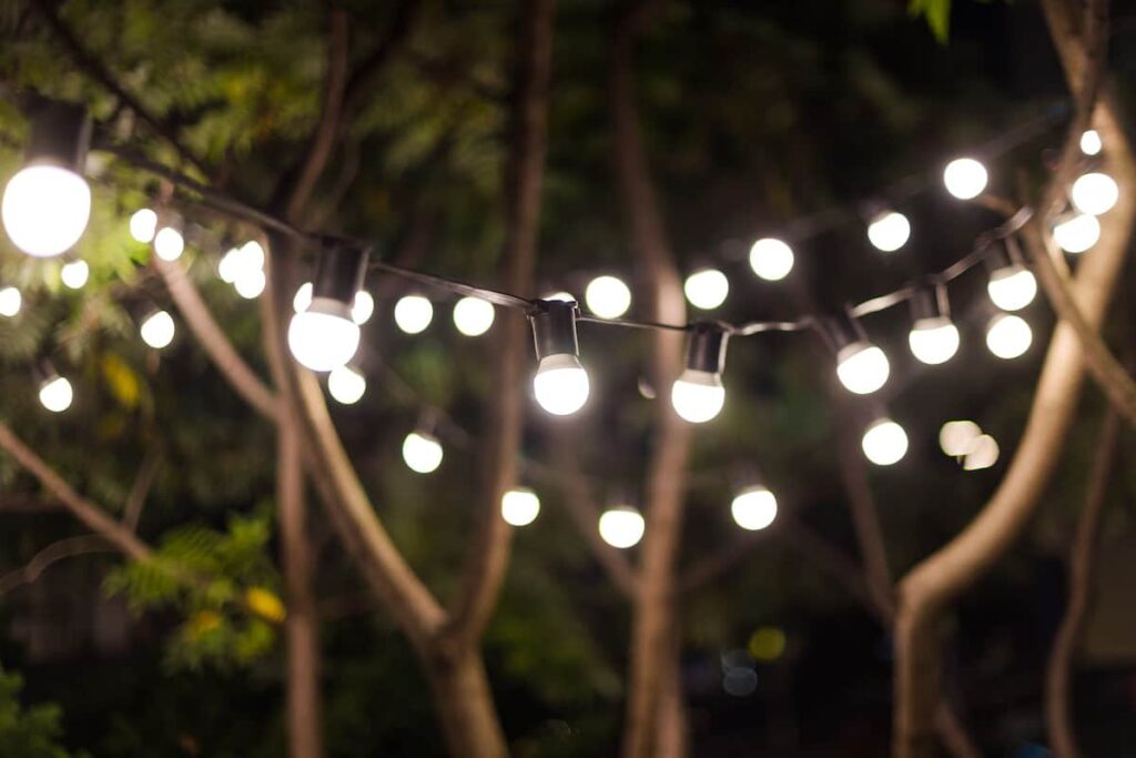bigstock-Blurred-Background-Backyard-I-394572605-min.jpg