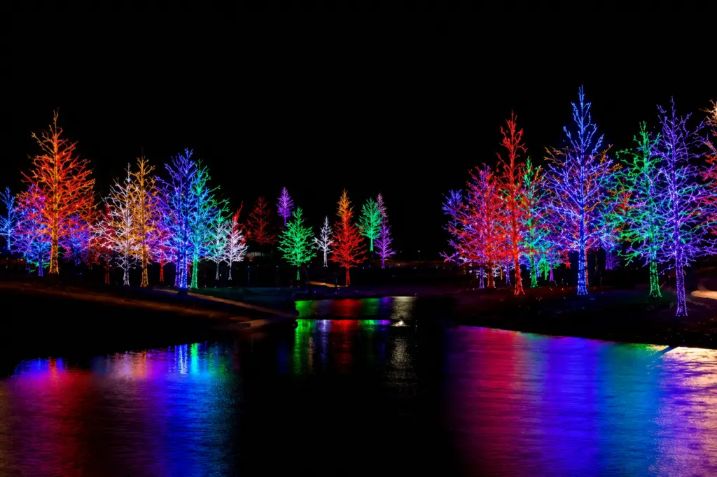 multicolor trees_Enhanced
